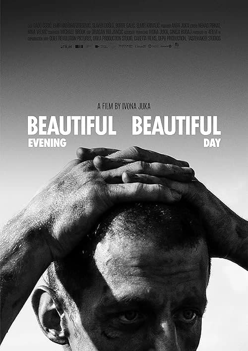 Beautiful Evening, Beautiful Day film posteri